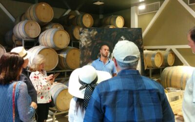 Mendoza and Malbec winetasting tours