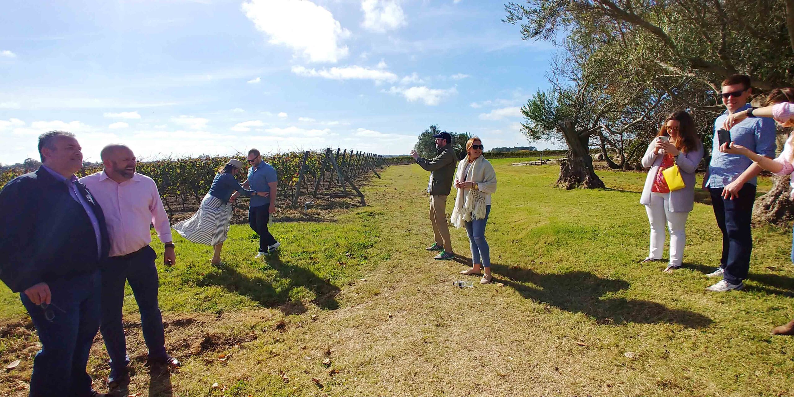 Borravino Wine Tours, vineyards visit