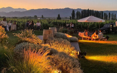 The Best 7 Wineries To Enjoy The Stunning Mendoza Sunset