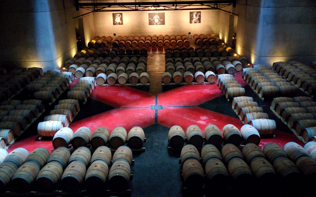 borravinowinetours_MendozaWineCellar