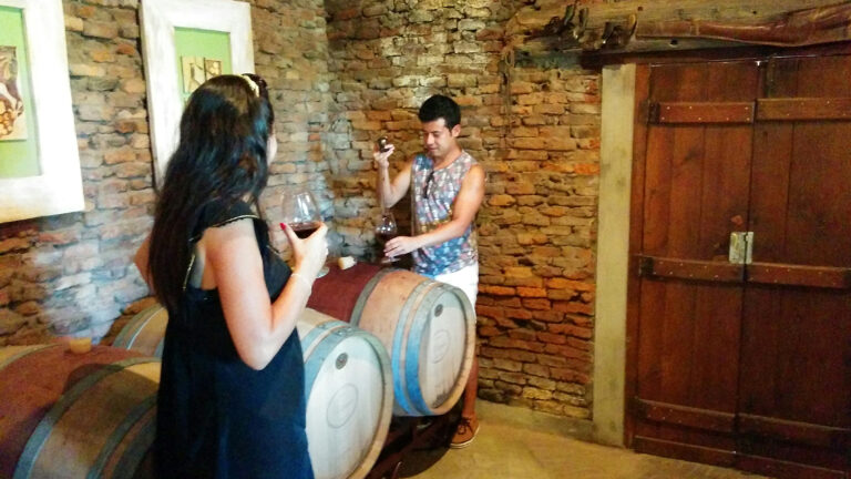 Barrel tasting on a Colchagua Valley wine tour