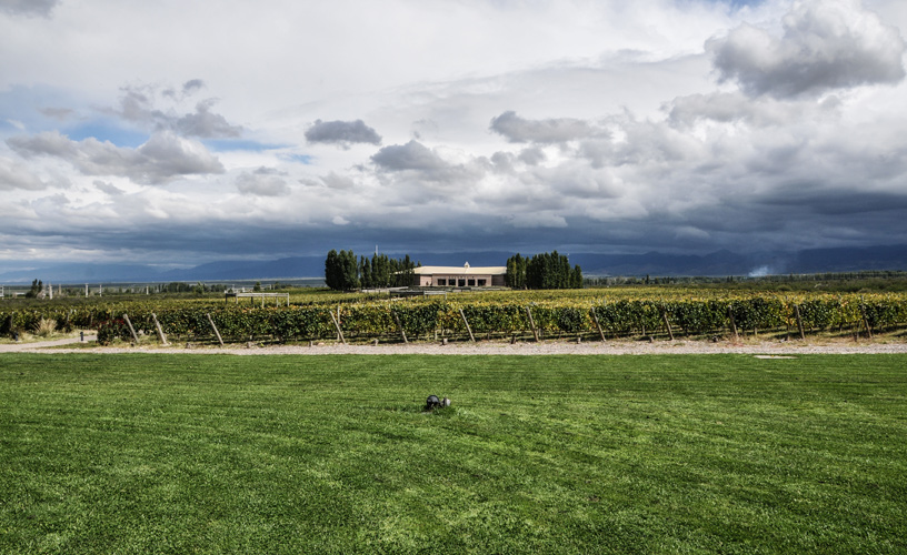 Uco Valley: Why This Region Produces Argentina’s Best High-Altitude Wines