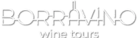 Borravino Wine Tours | Experts in wine and culinary tours in Mendoza, Uruguay, Spain and Chile