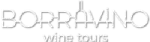 Borravino Wine Tours | Experts in wine and culinary tours in Mendoza, Uruguay, Spain and Chile