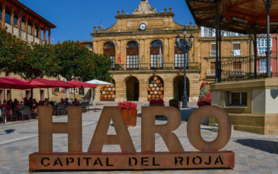 Discover the Best Private Wine Tour in Spain