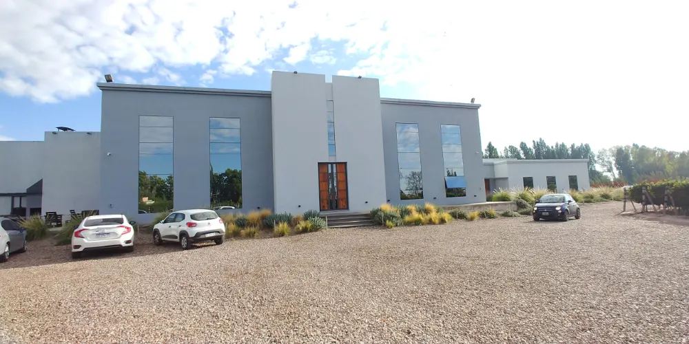 Luján de Cuyo winery tour, Mendoza