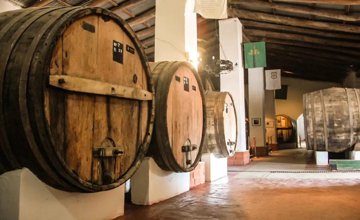 Old oak barrels at a historic winery in Cafayate, Salta