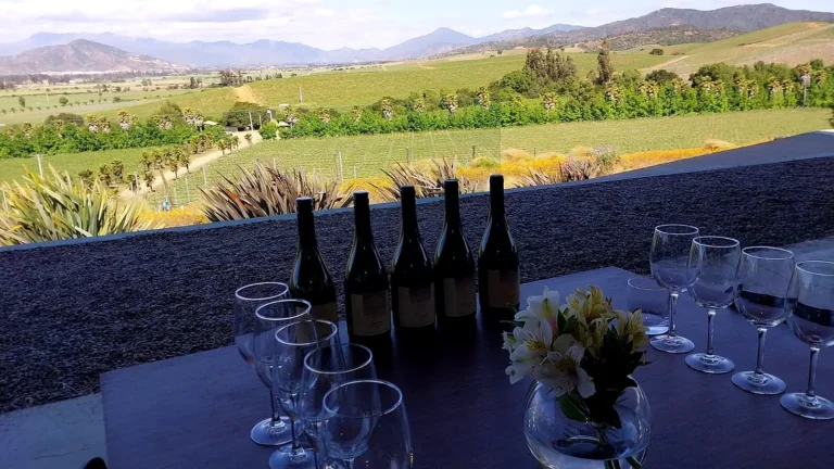 Wine tasting on a Casablanca Valley wine tour