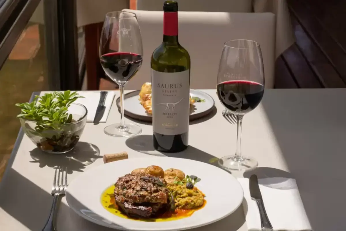Wine-paired lunch with Patagonian red wine at a winery in Neuquén