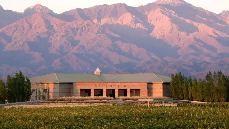 Uco Valley winery and vineyards with the Andes, Mendoza