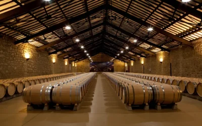 You Really Don’t Need to Be a “Wine Person” to Enjoy a Wine Tour