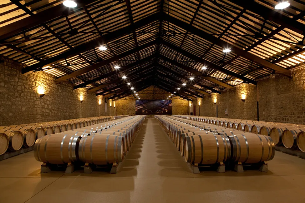 Guests enjoying a relaxed wine tour